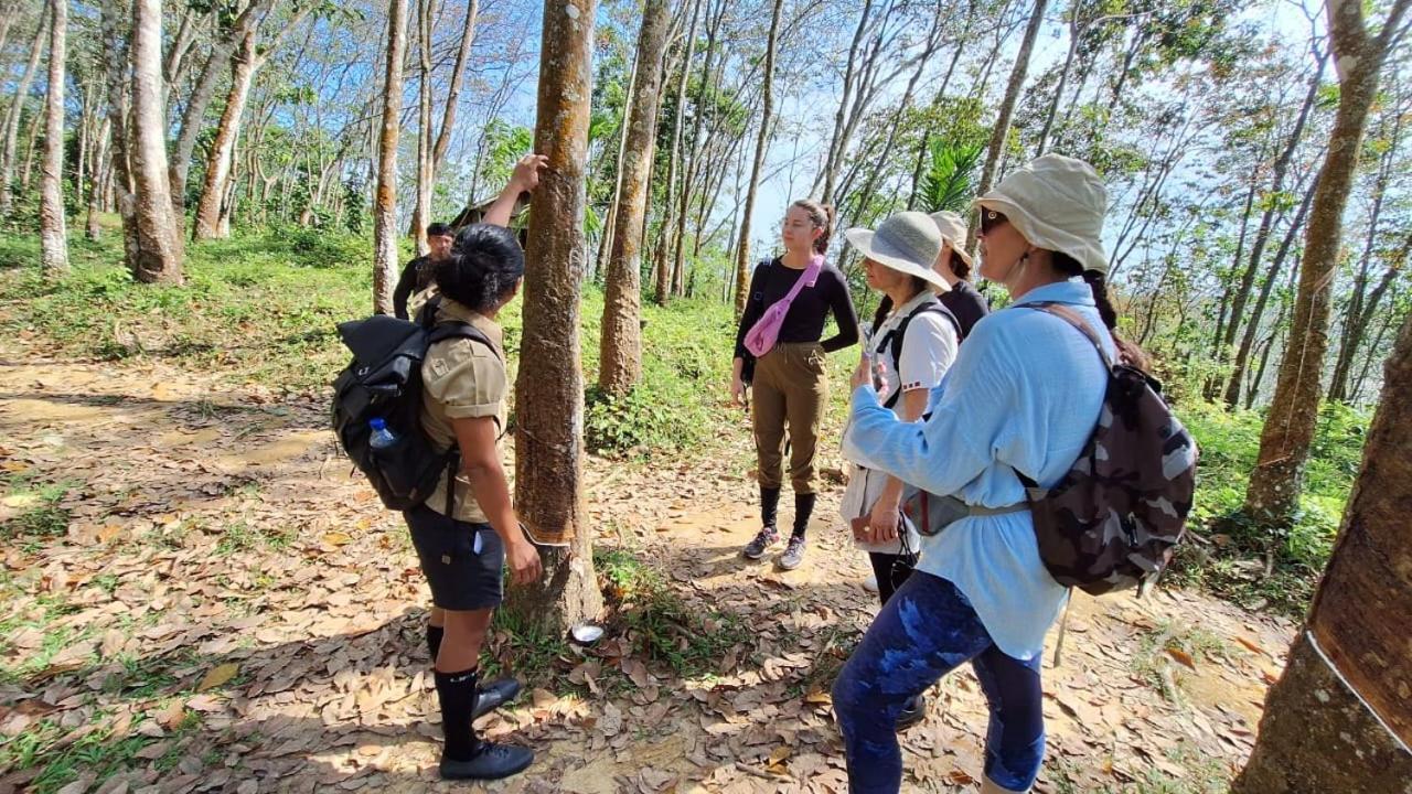 Batu Kapal Guest House & Jungle Trekking Bukit Lawang Ngoại thất bức ảnh