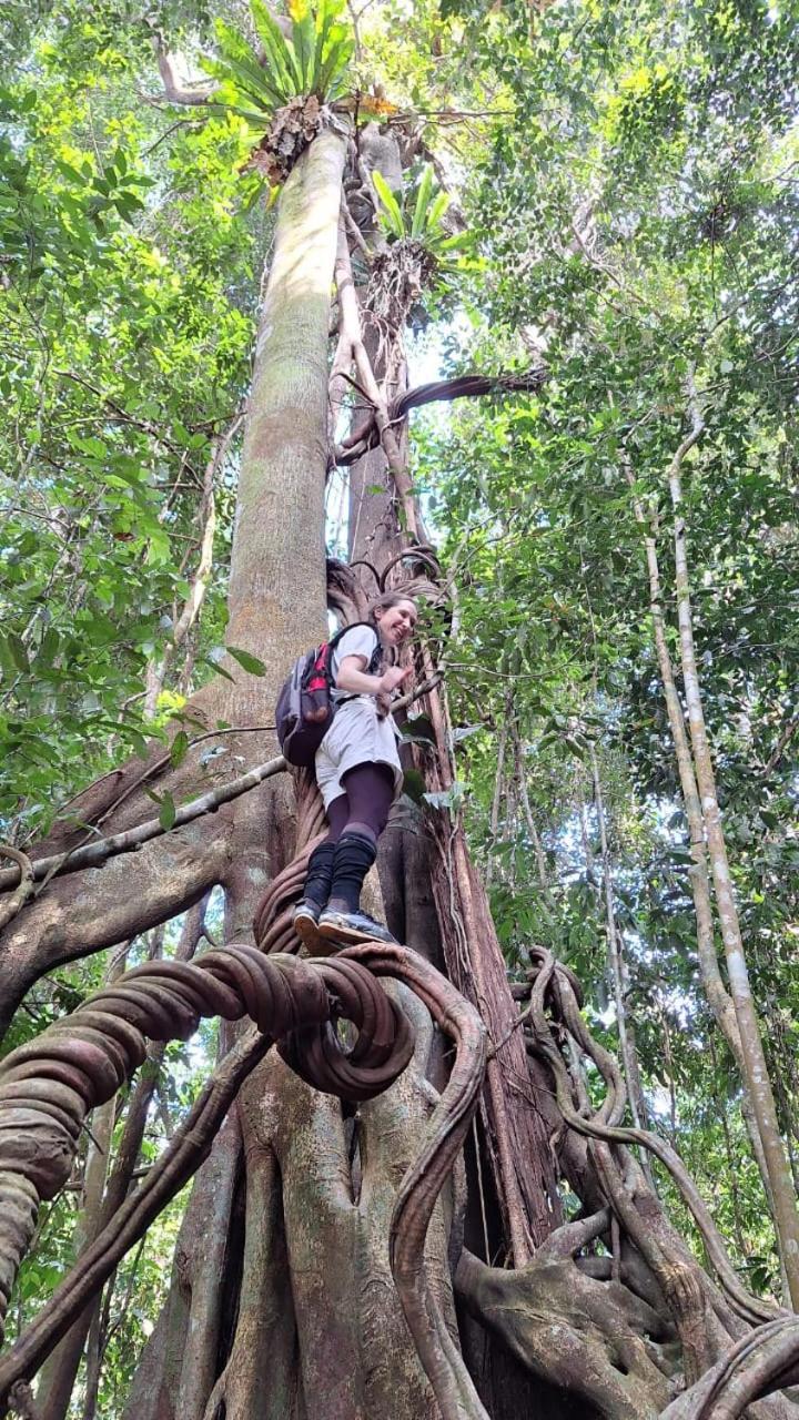 Batu Kapal Guest House & Jungle Trekking Bukit Lawang Ngoại thất bức ảnh