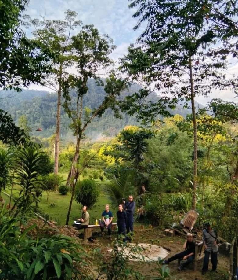 Batu Kapal Guest House & Jungle Trekking Bukit Lawang Ngoại thất bức ảnh