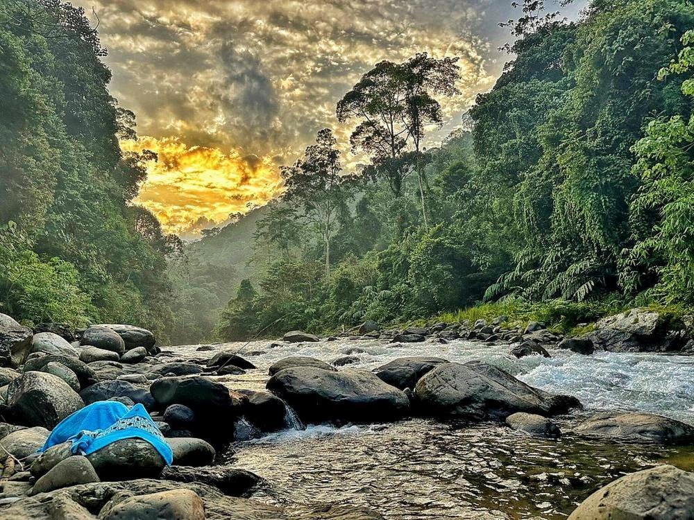 Batu Kapal Guest House & Jungle Trekking Bukit Lawang Ngoại thất bức ảnh