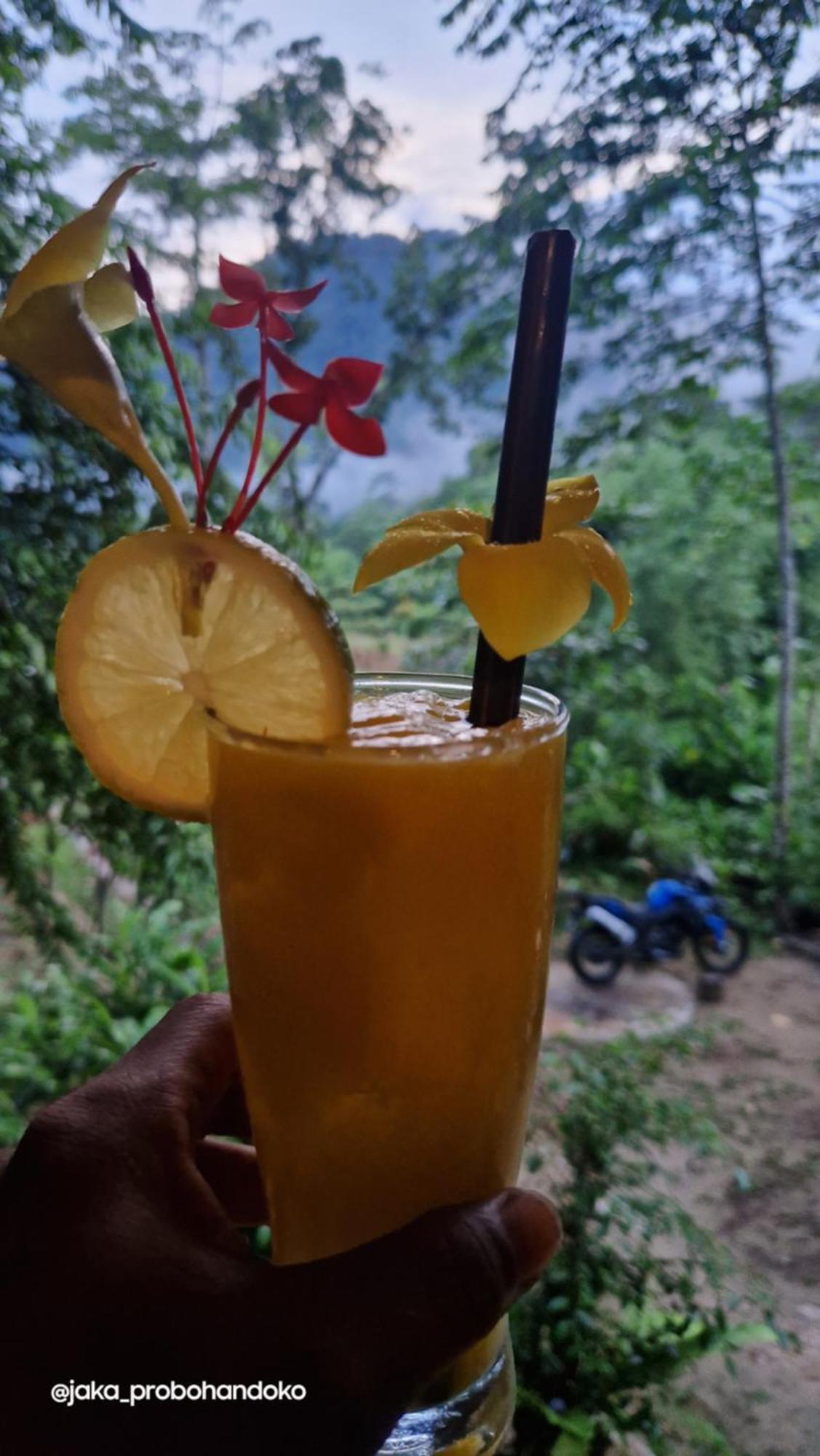 Batu Kapal Guest House & Jungle Trekking Bukit Lawang Ngoại thất bức ảnh
