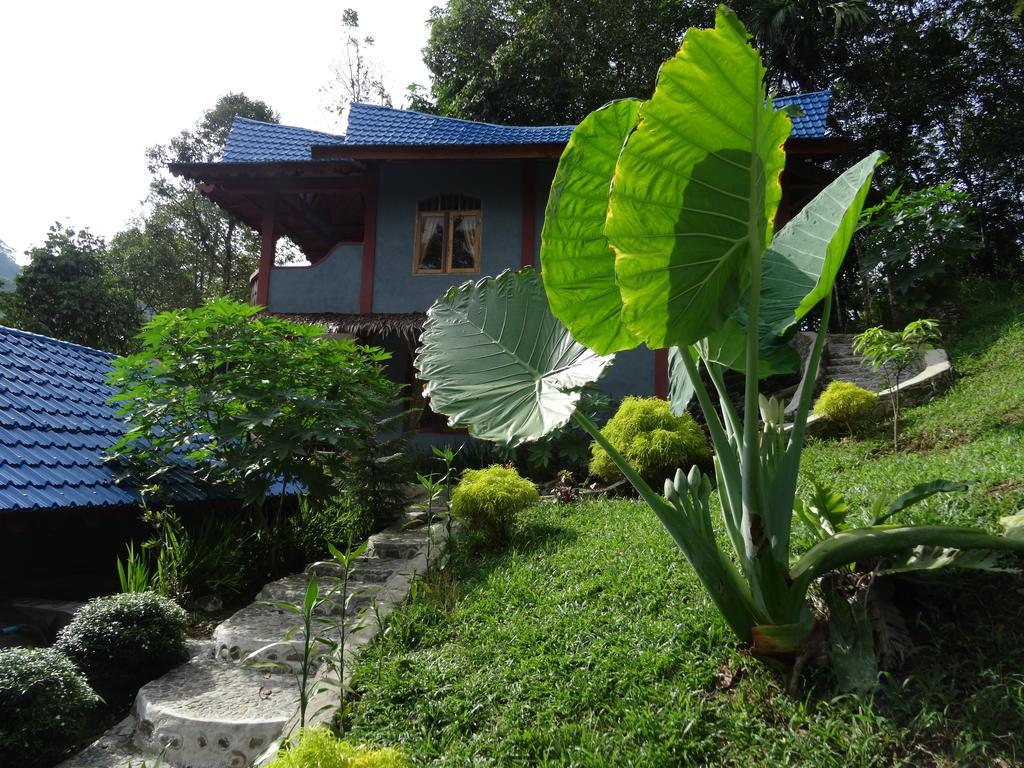 Batu Kapal Guest House & Jungle Trekking Bukit Lawang Ngoại thất bức ảnh