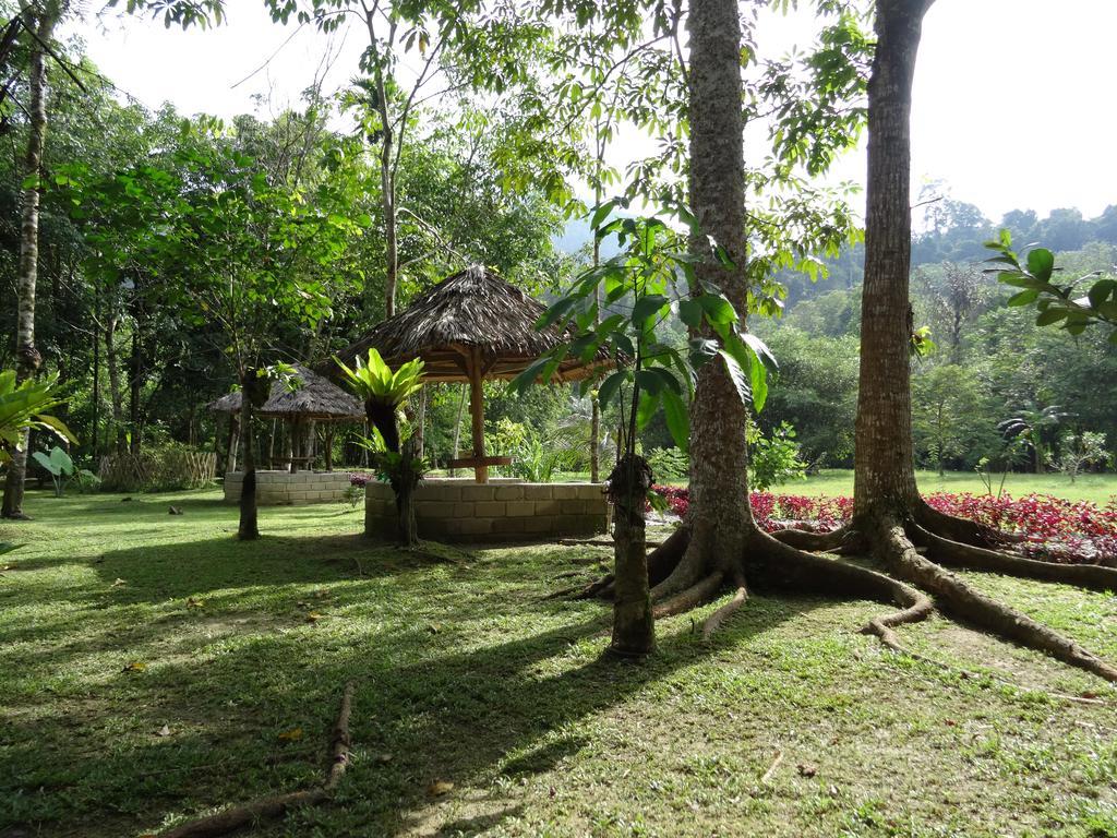 Batu Kapal Guest House & Jungle Trekking Bukit Lawang Ngoại thất bức ảnh