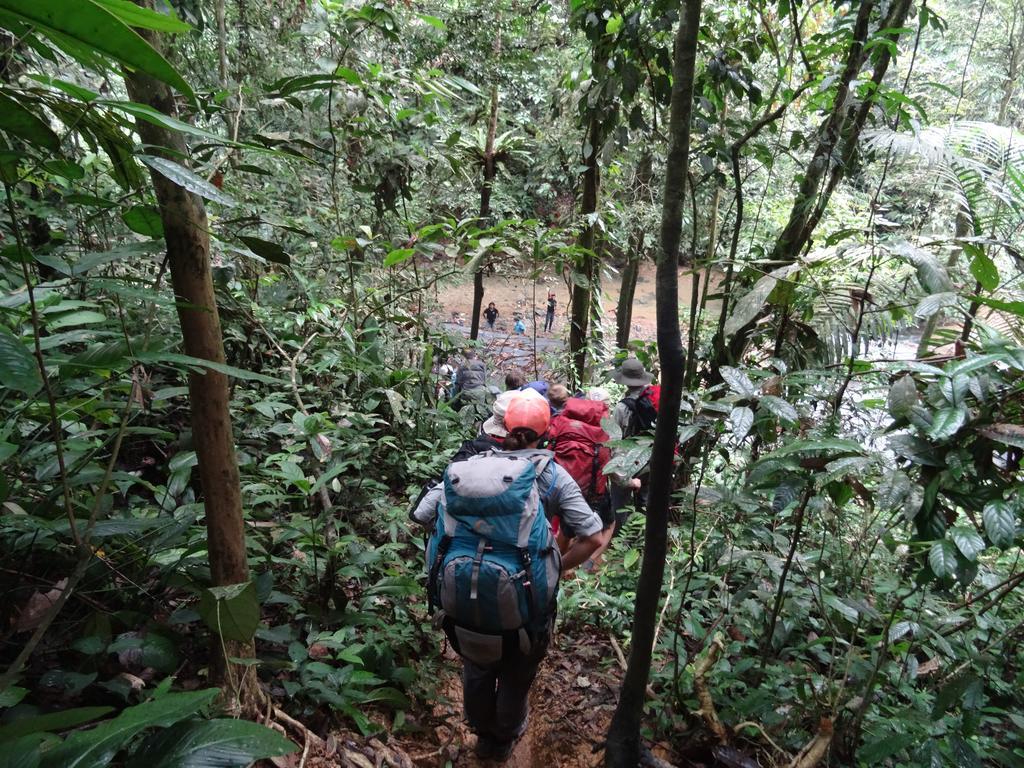 Batu Kapal Guest House & Jungle Trekking Bukit Lawang Ngoại thất bức ảnh