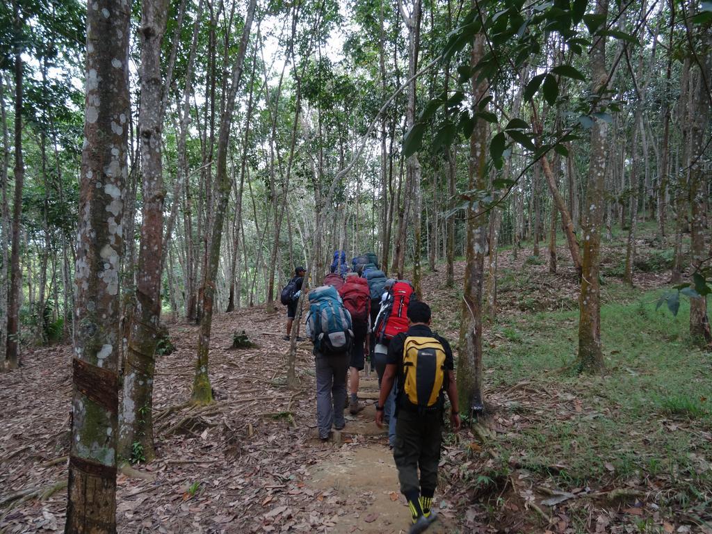 Batu Kapal Guest House & Jungle Trekking Bukit Lawang Ngoại thất bức ảnh