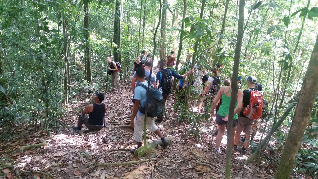 Batu Kapal Guest House & Jungle Trekking Bukit Lawang Ngoại thất bức ảnh