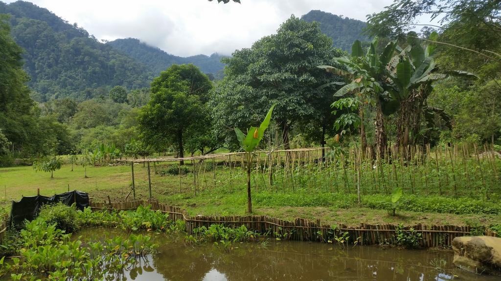 Batu Kapal Guest House & Jungle Trekking Bukit Lawang Ngoại thất bức ảnh
