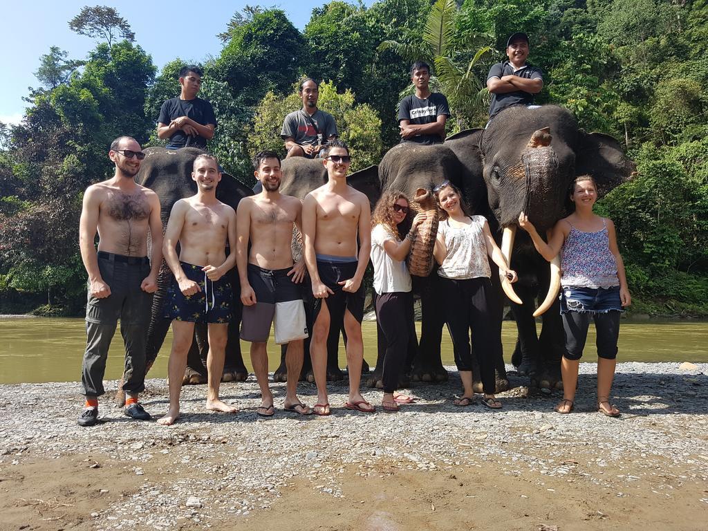 Batu Kapal Guest House & Jungle Trekking Bukit Lawang Ngoại thất bức ảnh