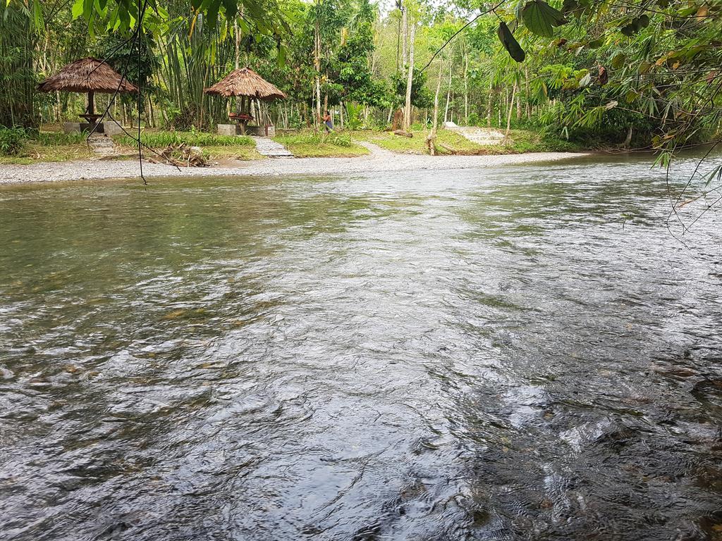 Batu Kapal Guest House & Jungle Trekking Bukit Lawang Ngoại thất bức ảnh