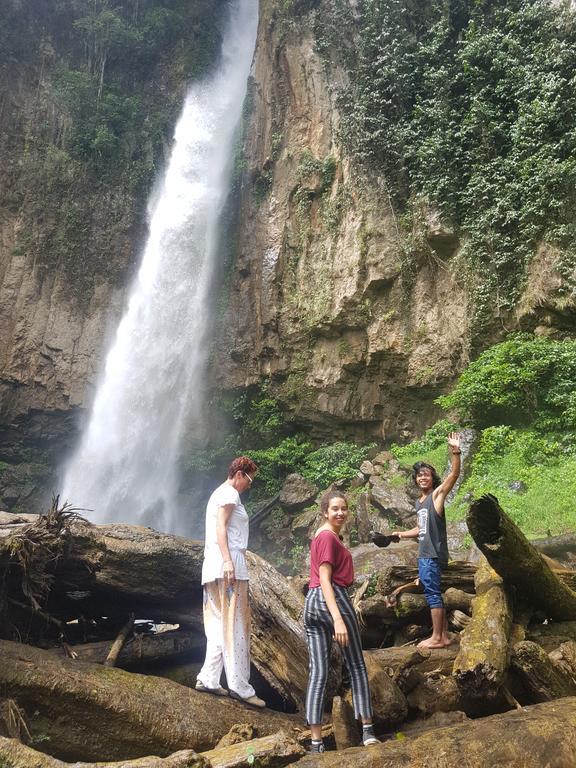 Batu Kapal Guest House & Jungle Trekking Bukit Lawang Ngoại thất bức ảnh