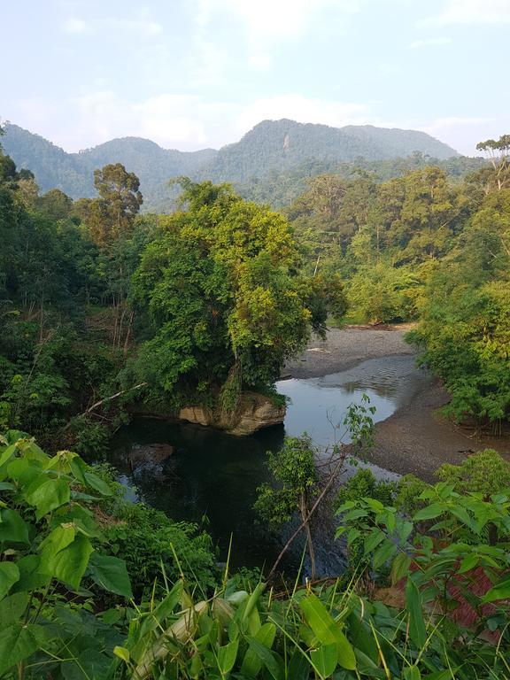 Batu Kapal Guest House & Jungle Trekking Bukit Lawang Ngoại thất bức ảnh